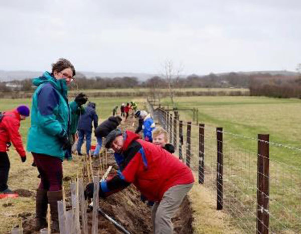 Tree Planting 2022