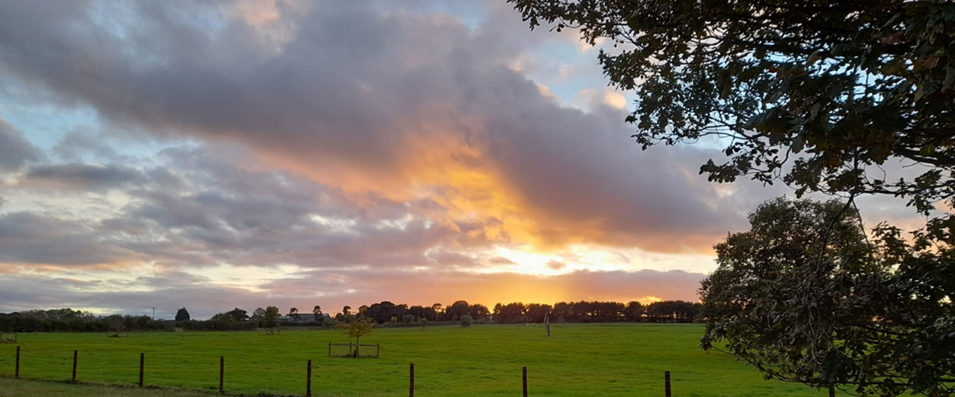 English Fields